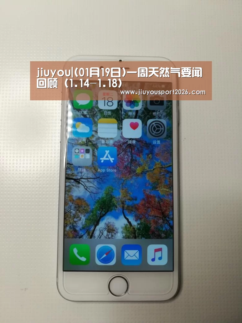 9游官网