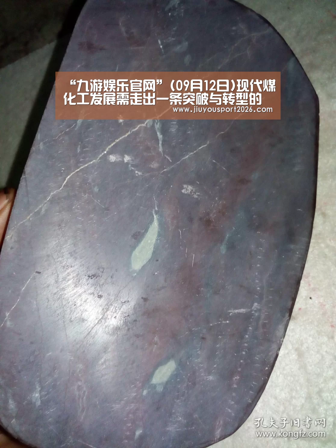 “九游娱乐官网”(09月12日)现代煤化工发展需走出一条突破与转型的新路子(图2)