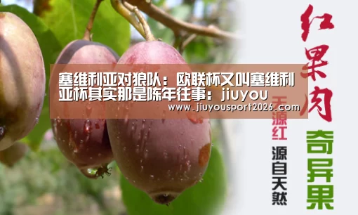 九游娱乐