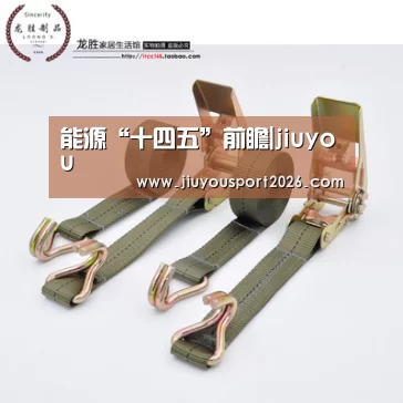 能源“十四五”前瞻|jiuyou(图2)