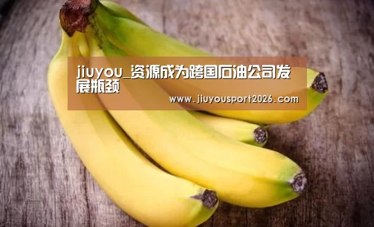 jiuyou_资源成为跨国石油公司发展瓶颈