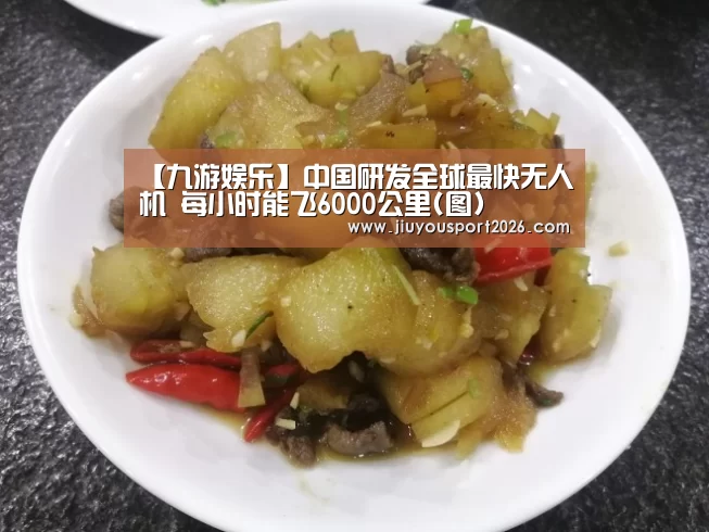 【九游娱乐】中国研发全球最快无人机 每小时能飞6000公里(图)(图1)