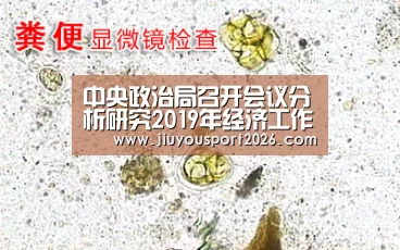 9游官网